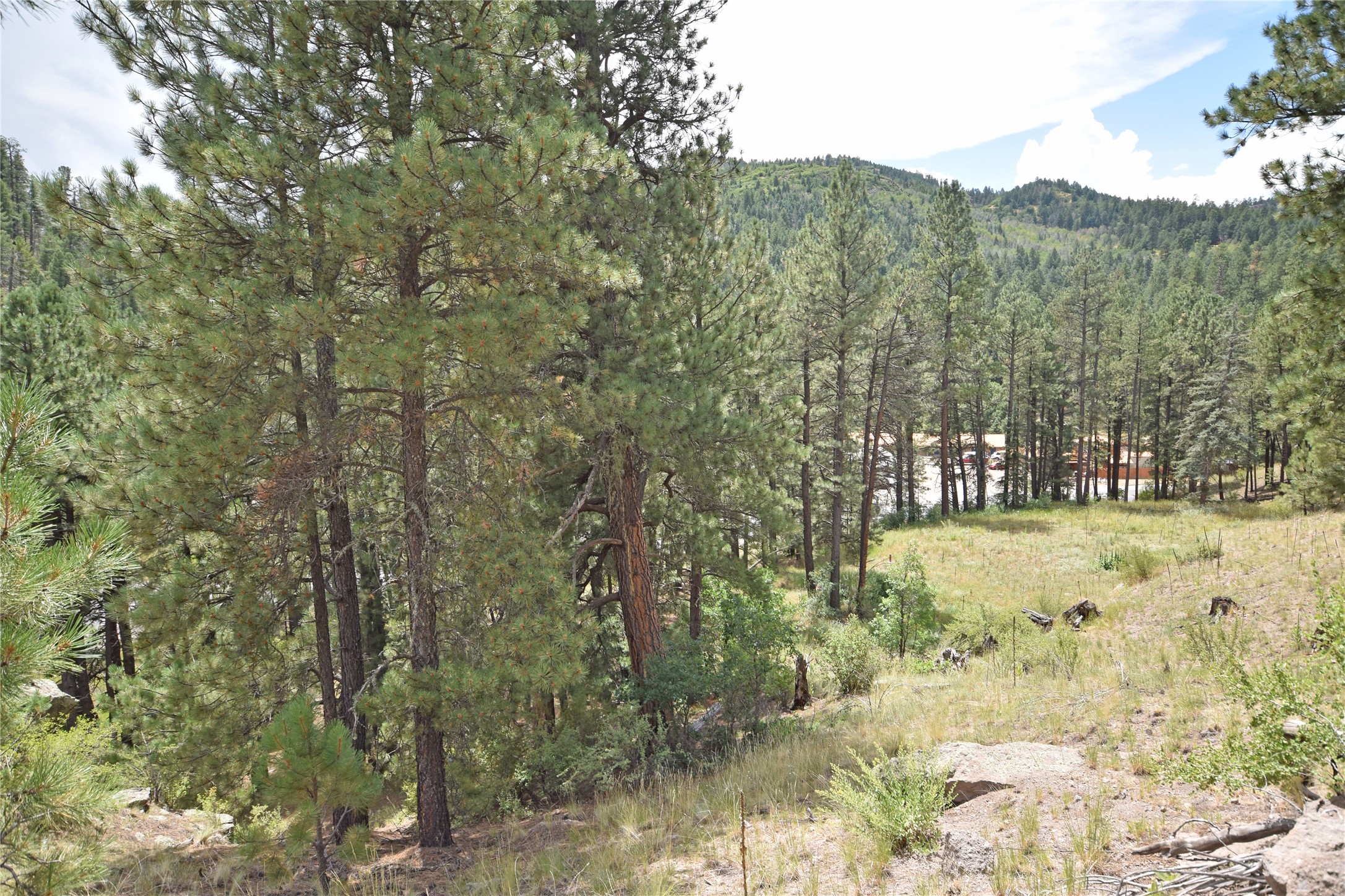 Lot 2 Hwy 126