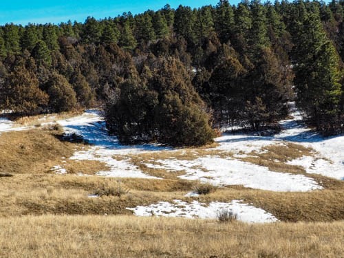 32 Ravin Off Buckman Unit Ponderosa  