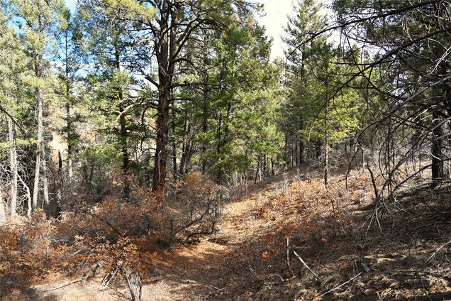 00 Bear Rd Cr 322 Unit Unit D-1 Lot 11 Tierra Amarilla, NM Plot of land Active - Photo 1 of 7. Opens carousel modal