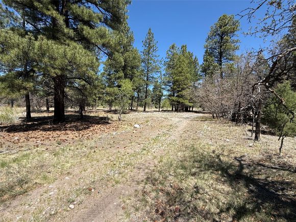 Tbd State Road 512 Chama, NM Plot of land Active - Photo 1 of 10. Opens carousel modal