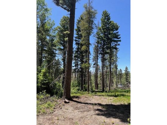 2449 Petito Dr Fort Garland, CO Plot of land Active - Photo 1 of 19. Opens carousel modal