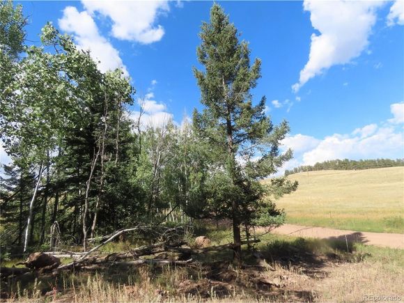 471 Horseshoe Trl Florissant, CO Land Active - Photo 1 of 18. Opens carousel modal