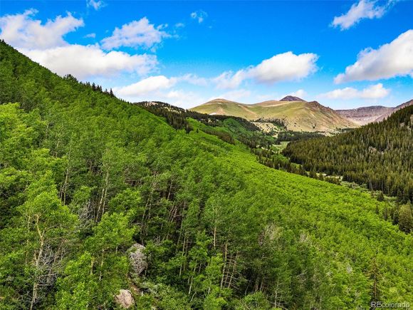 999 Cr 6 Leadville, CO Land Active - Photo 1 of 7. Opens carousel modal