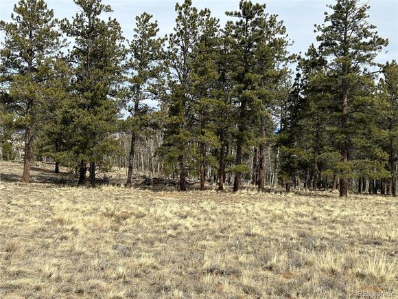 788 Wagon Wheel Rd Hartsel, CO Land Active - Photo 1 of 25. Opens carousel modal