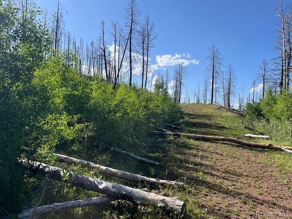 835 Slaoui Pl Fort Garland, CO Plot of land Active - Photo 1 of 20. Opens carousel modal