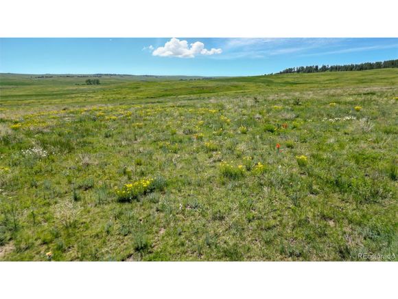 Parcel #3 County Road 91 Ramah, CO Land Active - Photo 1 of 33. Opens carousel modal