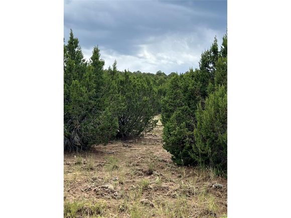 Sunrise Rd Walsenburg, CO Plot of land Active - Photo 1 of 4. Opens carousel modal