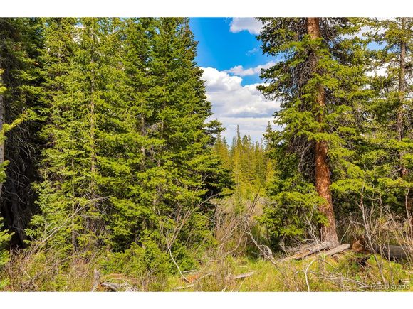 632 El Lobo Ln Fairplay, CO Land Active - Photo 1 of 20. Opens carousel modal