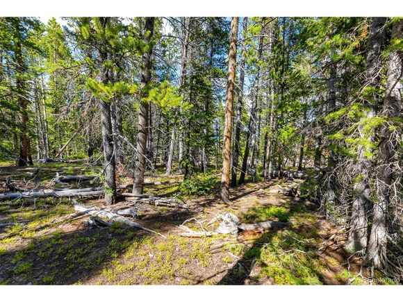 440 Gold Trail Cir Fairplay, CO Land Active - Photo 1 of 28. Opens carousel modal