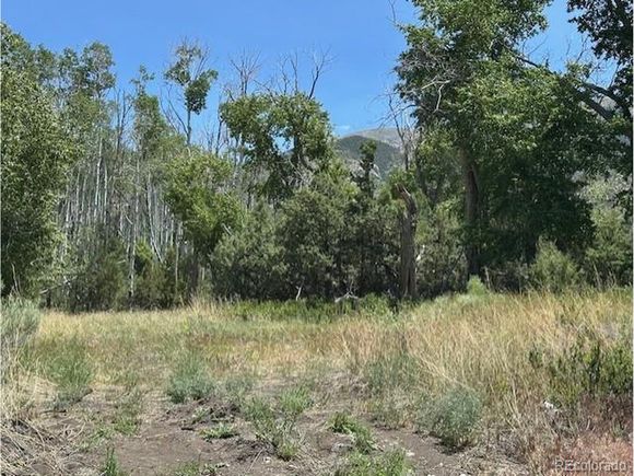 231 Mill Run Road Mosca, CO Plot of land Active - Photo 1 of 6. Opens carousel modal