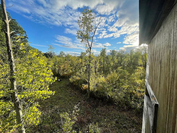 T Drive N Bellevue, MI Plot of land Sold - Photo 1 of 20. Opens carousel modal