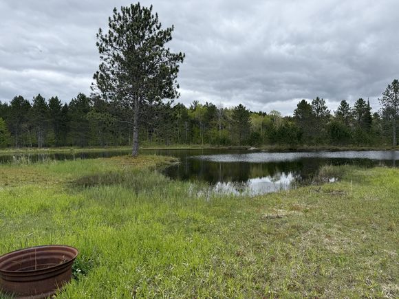10420 E Newman Road Merritt, MI Plot of land Active - Photo 1 of 6. Opens carousel modal