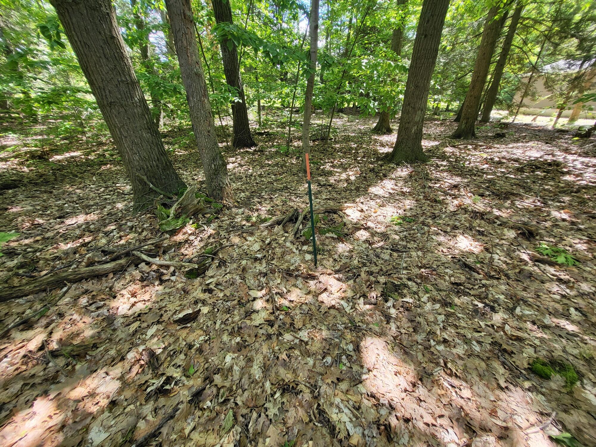 5599 Duck Lake Rd, Whitehall, MI 49461 Estately 🧡 MLS 24026805