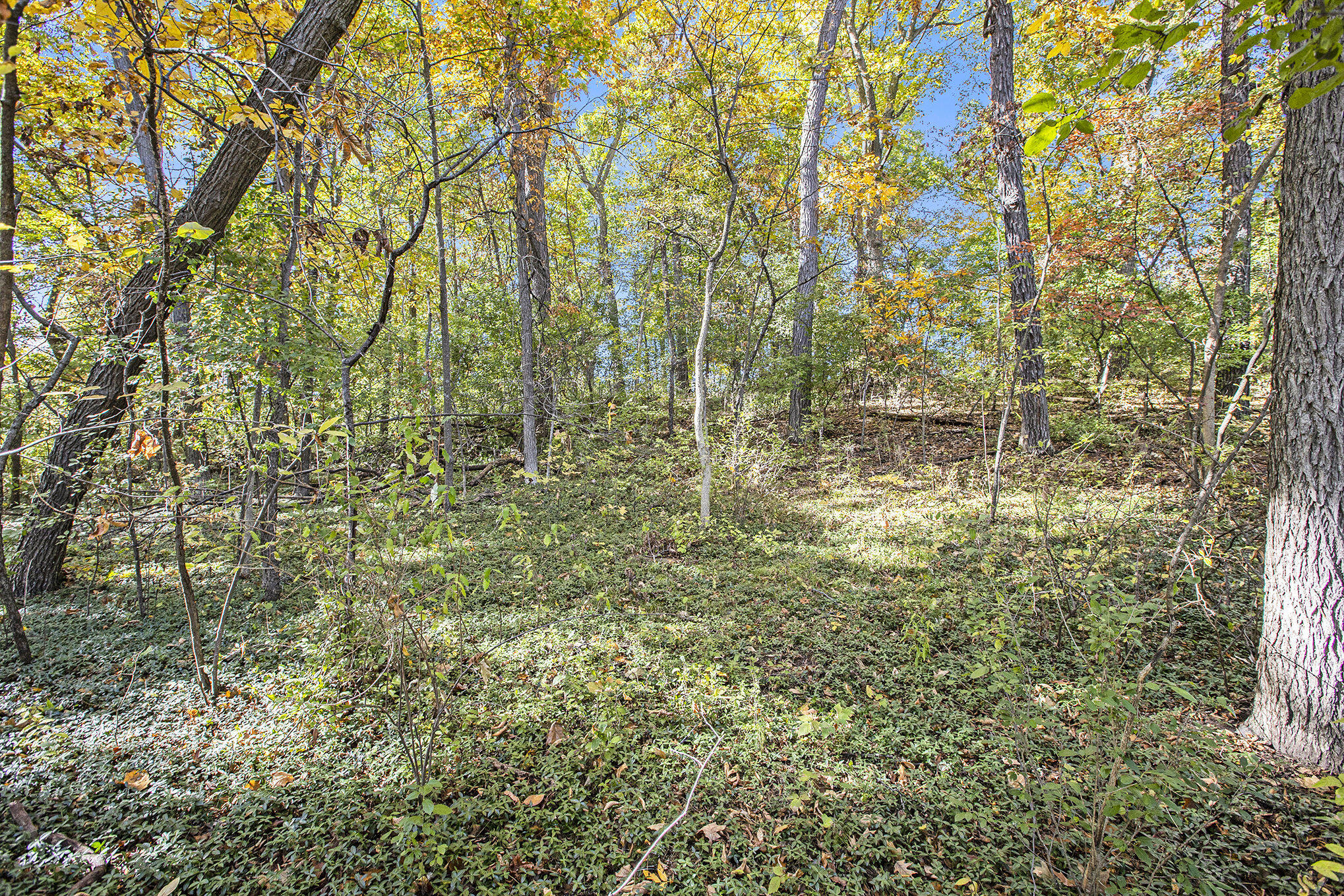 907 Ridge Ct, Chelsea, MI 48118 Estately 🧡 MLS 24054911