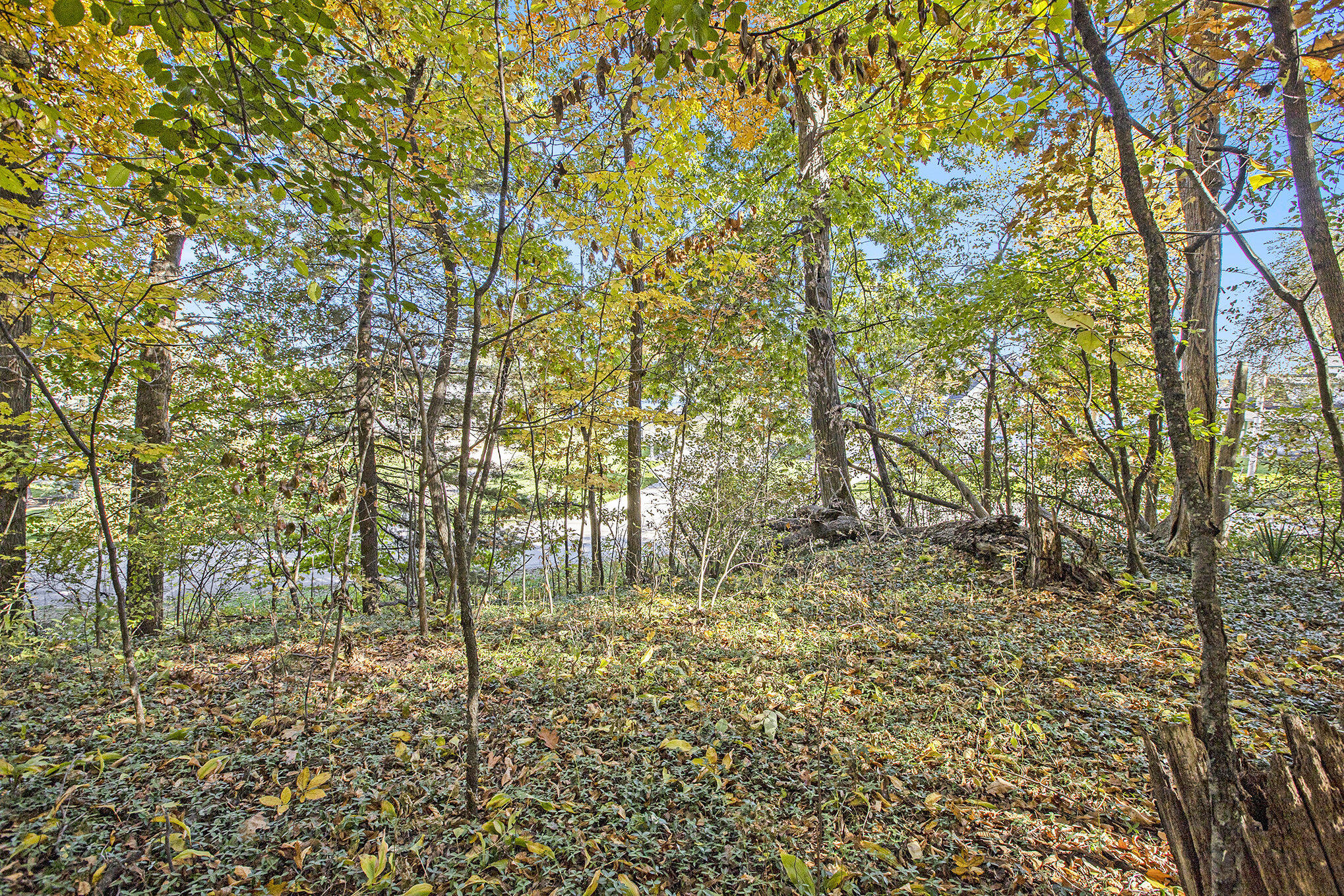 907 Ridge Ct, Chelsea, MI 48118 Estately 🧡 MLS 24054911