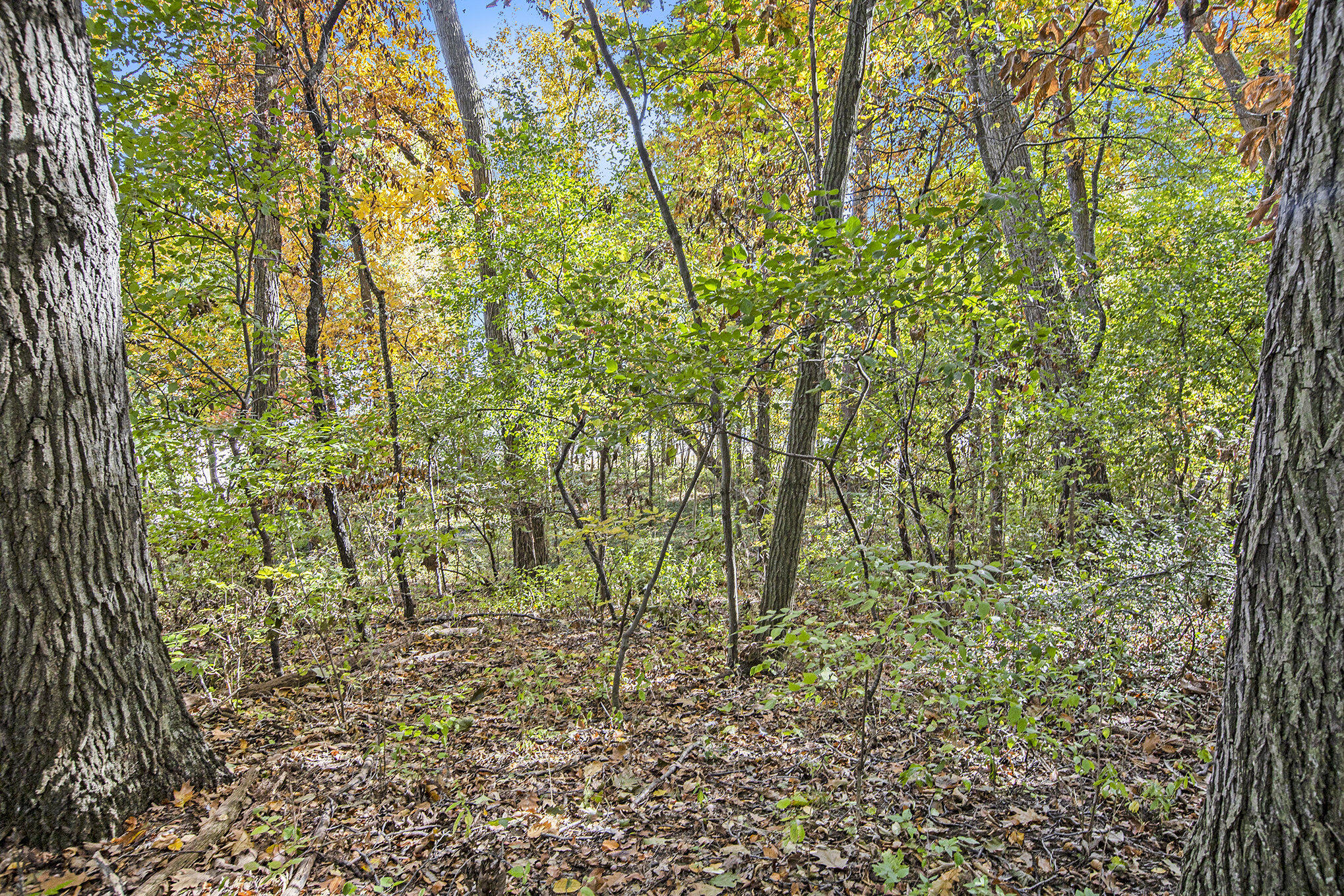 907 Ridge Ct, Chelsea, MI 48118 Estately 🧡 MLS 24054911