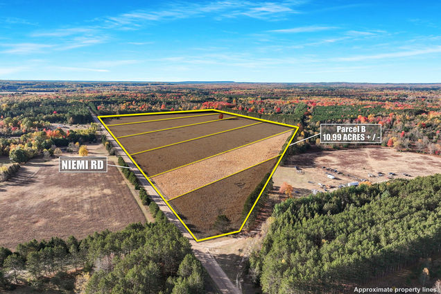 0 V/L 10.99 Acres Niemi Road Kaleva, MI Plot of land Sold - Photo 1 of 5. Opens carousel modal