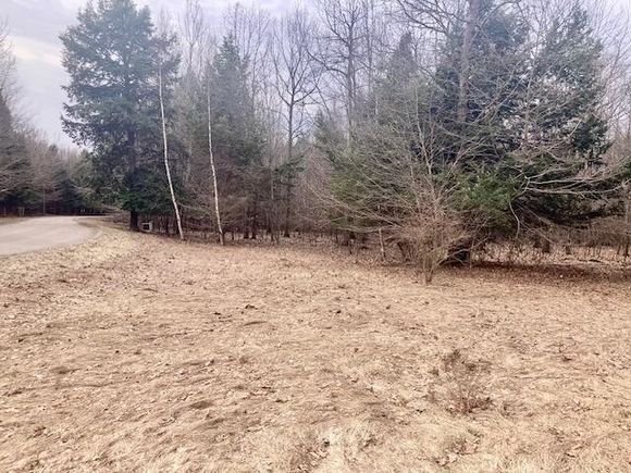 10228 Opal Ridge Drive Onekama, MI Plot of land Active - Photo 1 of 5. Opens carousel modal