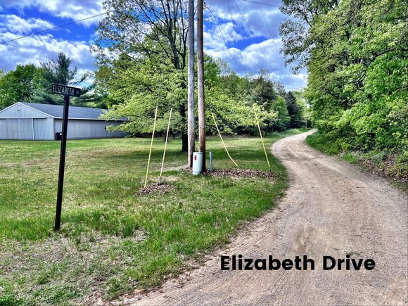 10701 Elizabeth Road Greenville, MI Plot of land Active - Photo 1 of 6. Opens carousel modal