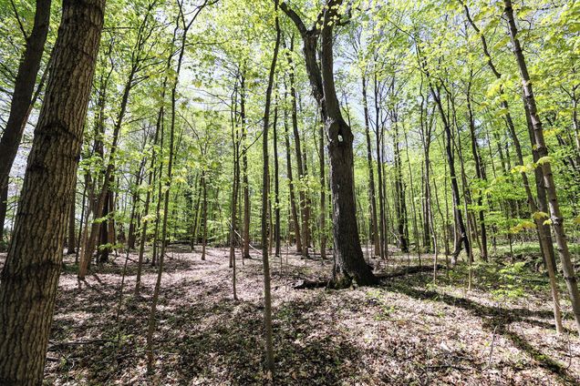 Vl Benny Ct (Private) Grand Junction, MI Plot of land Active - Photo 1 of 25. Opens carousel modal