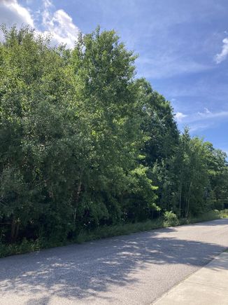 4360 Duck Creek Lane Whitehall, MI Plot of land Pending - Photo 1 of 1. Opens carousel modal