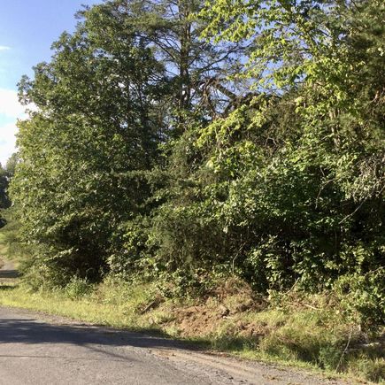 Pine Lake Road Battle Creek, MI Plot of land Active - Photo 1 of 1. Opens carousel modal