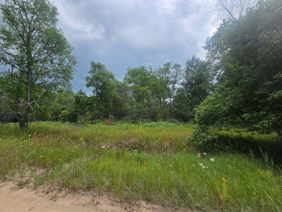 11660 Behlke Road SE Fife Lake, MI Plot of land Active - Photo 1 of 5. Opens carousel modal
