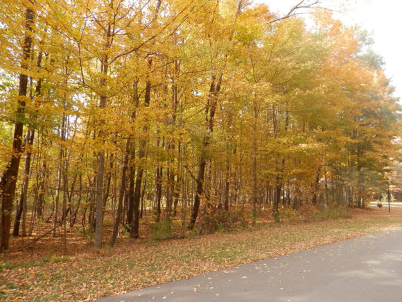 1 Harlan Drive Watervliet, MI Plot of land Active - Photo 1 of 6. Opens carousel modal
