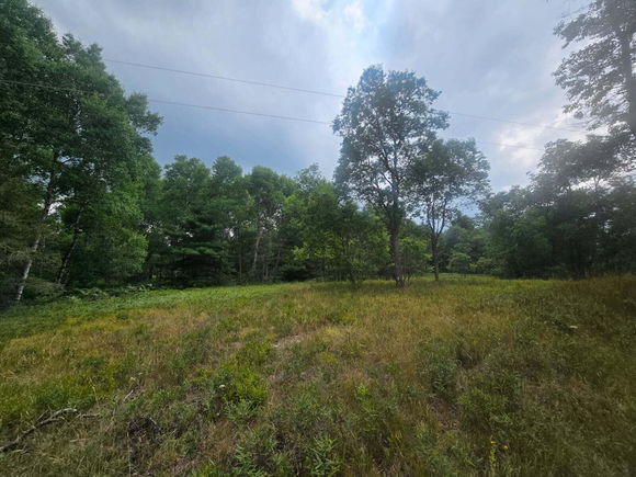 11722 Behlke Road SE Fife Lake, MI Plot of land Active - Photo 1 of 8. Opens carousel modal