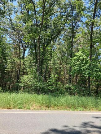V/L Staple Road Twin Lake, MI Plot of land Sold - Photo 1 of 1. Opens carousel modal