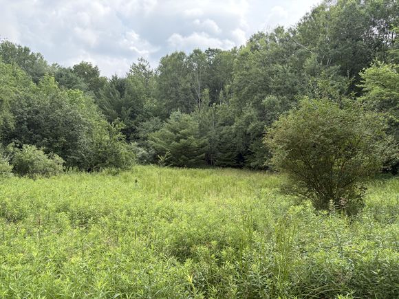 11546 E 3 1/2 Mile Road Luther, MI Plot of land Active - Photo 1 of 7. Opens carousel modal