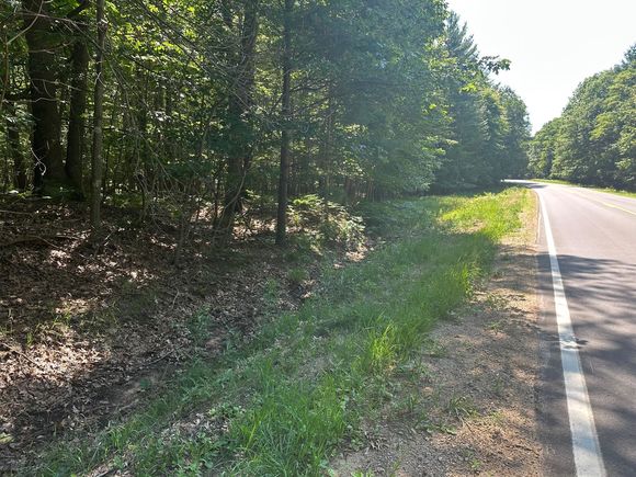 V/L Ridge Road Mears, MI Plot of land Active - Photo 1 of 7. Opens carousel modal