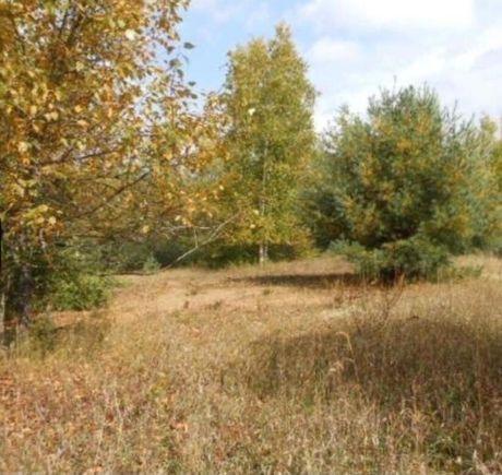 00 Pueblo Trail Evart, MI Plot of land Active - Photo 1 of 2. Opens carousel modal