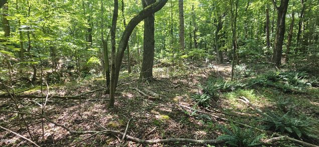 550 Holly Ridge Drive Winston-Salem, NC Plot of land Active - Photo 1 of 9. Opens carousel modal
