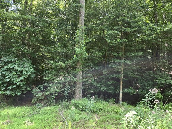 116 Navajo Drive Louisburg, NC Plot of land Active - Photo 1 of 16. Opens carousel modal
