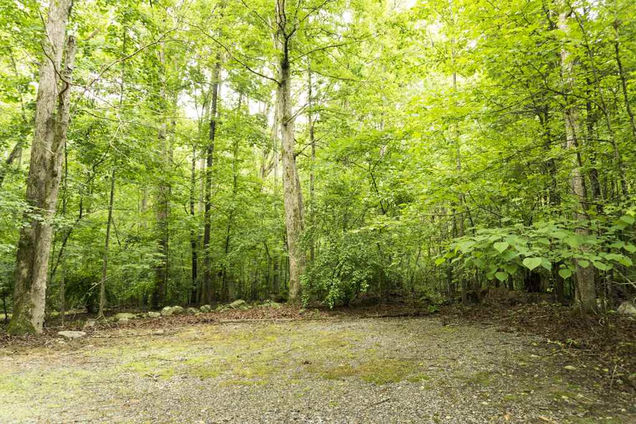 Lot 45 Miles Branch Road Pittsboro, NC Plot of land Sold - Photo 1 of 25. Opens carousel modal