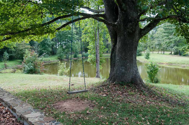 50 Harrison Pond Drive Pittsboro, NC House Sold - Photo 1 of 4. Opens carousel modal