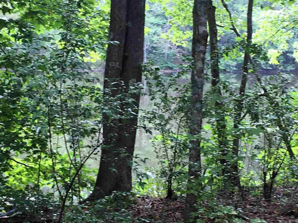 287 E Hawfields Road Pittsboro, NC Plot of land Sold - Photo 1 of 16. Opens carousel modal