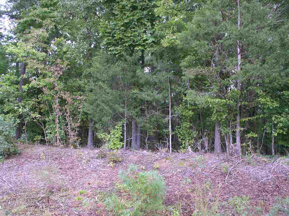 00 Hedrick Drive Henderson, NC Plot of land Sold - Photo 1 of 9. Opens carousel modal