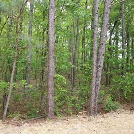 2637 Whistling Quail Run Apex, NC Plot of land Sold - Photo 1 of 8. Opens carousel modal
