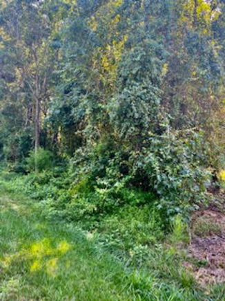 2312 Alstonburg Avenue Wake Forest, NC Plot of land Sold - Photo 1 of 4. Opens carousel modal