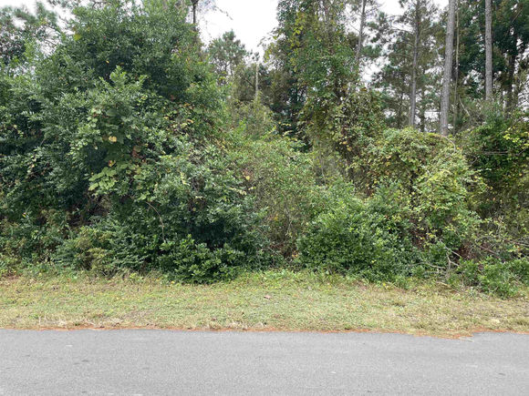 104 Abalone Way Wilmington, NC Plot of land Sold - Photo 1 of 3. Opens carousel modal