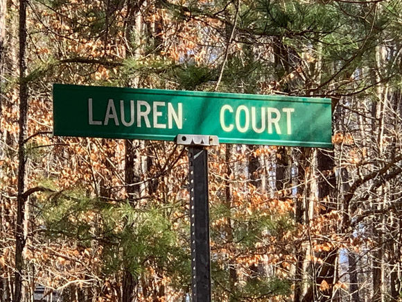Lot # 28 Lauren Court Pittsboro, NC Plot of land Sold - Photo 1 of 27. Opens carousel modal