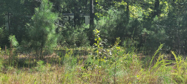 193 Happy Valley Trail Franklinton, NC Plot of land Sold - Photo 1 of 4. Opens carousel modal