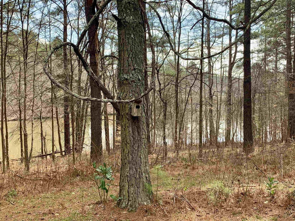 5505 Old Still Road Wake Forest, NC House Sold - Photo 1 of 4. Opens carousel modal