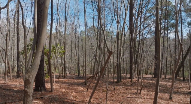 101 Allen Street Carrboro, NC Plot of land Sold - Photo 1 of 30. Opens carousel modal