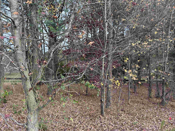 913 Meadowbrook Drive Garner, NC Plot of land Sold - Photo 1 of 5. Opens carousel modal