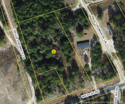 0 Wildcat Road Ivanhoe, NC Plot of land Sold - Photo 1 of 2. Opens carousel modal