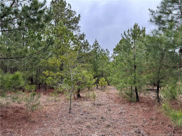 Calloway Road Raeford, NC Plot of land Sold - Photo 1 of 8. Opens carousel modal