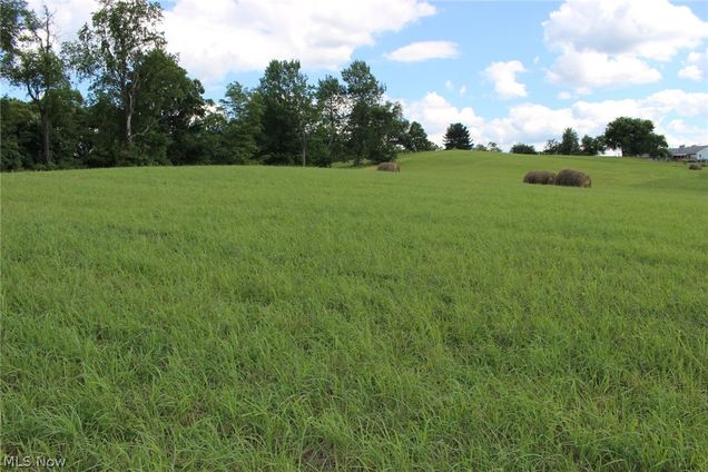 Yeager Lane Bartlett, OH Plot of land Sold - Photo 1 of 12. Opens carousel modal